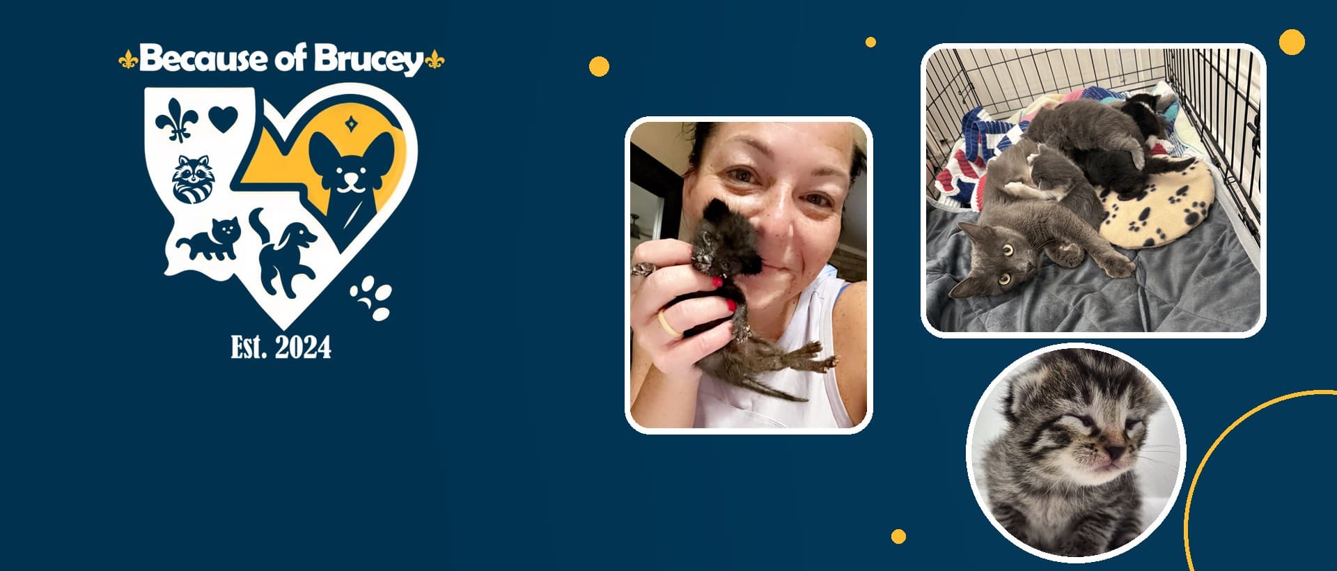 Because of Brucey logo beside photos of founder Torie Roberts holding Brucey, a mother cat with her kittens, and a neonatal kitten